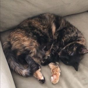 Meet your Posher, Kathy